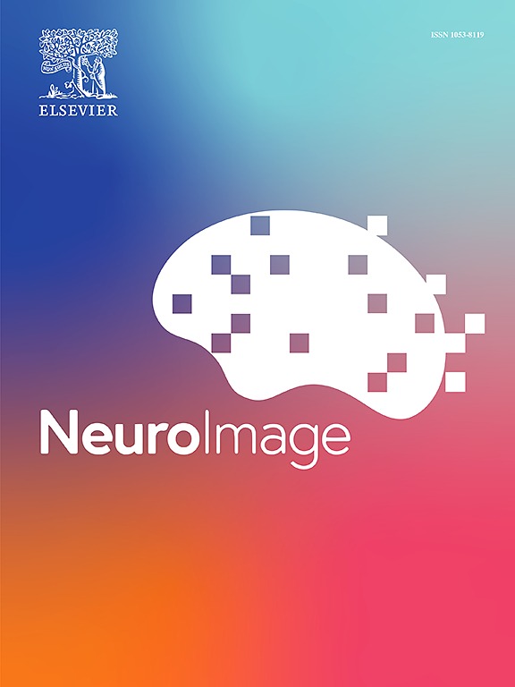 科研成果 | 心理学院李鹏教授课题组在《NeuroImage》上发表研究成果