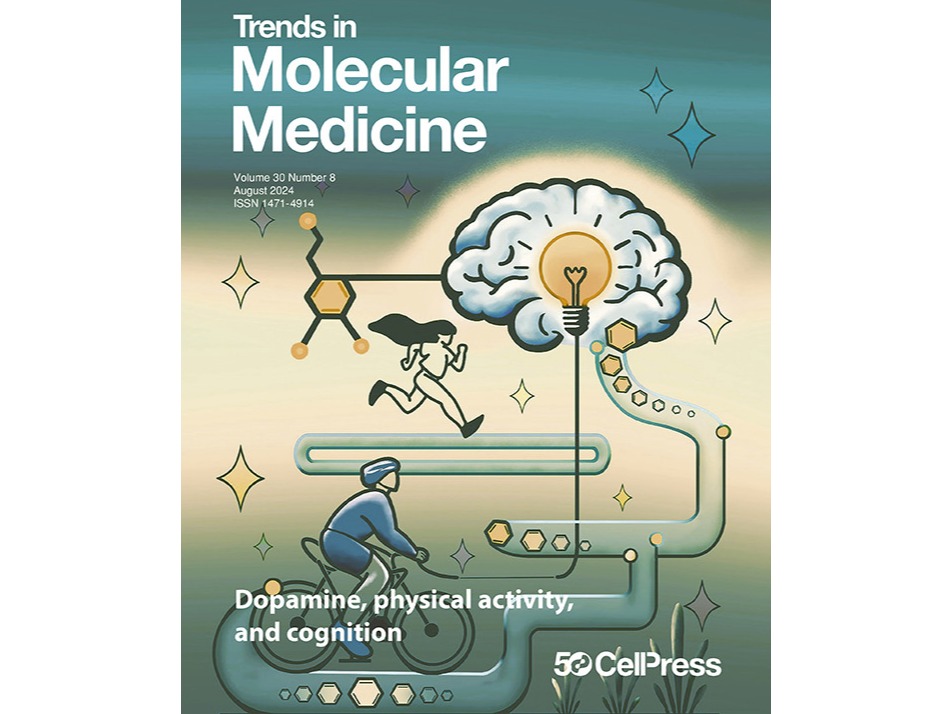 科研成果 | 邹立业教授在国际顶级期刊《Trends in Molecular Medicine》上发表研究成果