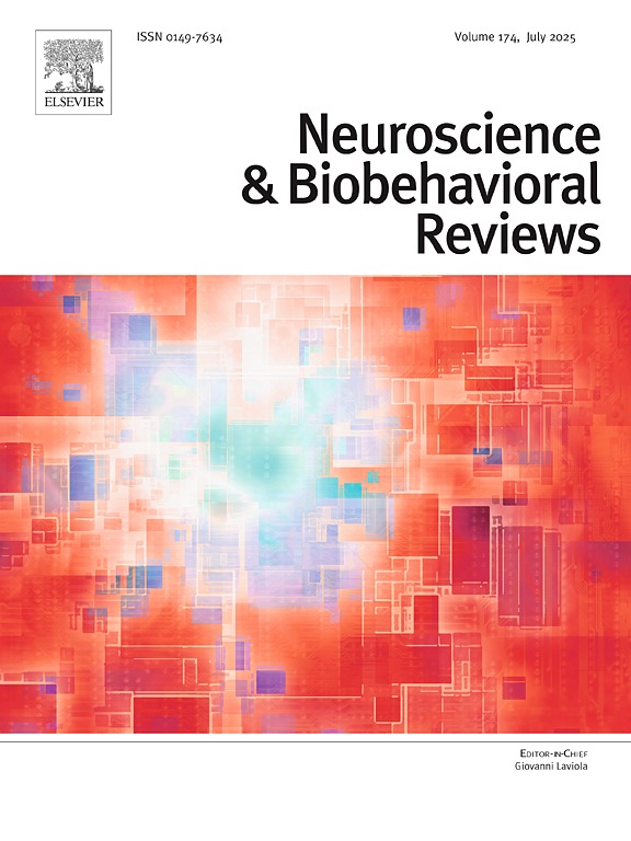 科研成果 | 心理学院李鹏教授课题组在《Neuroscience & Biobehavioral Reviews》上发表研究成果
